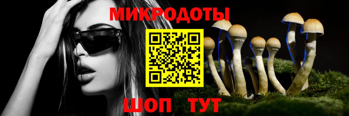 Галлюциногенные грибы Psilocybe Набережные Челны